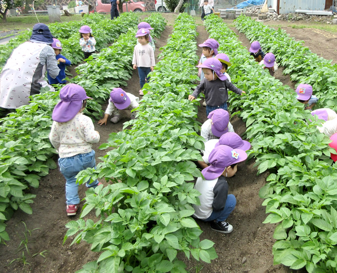 ���Τ������Ȥ��äѤ��������ݰ��